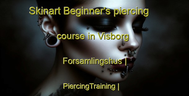 Skinart Beginner's piercing course in Visborg Forsamlingshus | PiercingTraining | PiercingClasses | SkinartTraining-Denmark